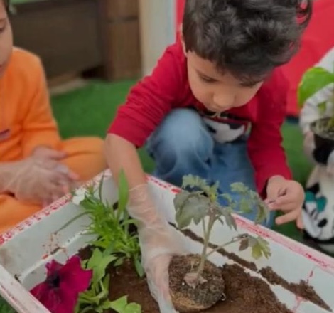 الاهتمام بالنباتات وتنمية الصبر